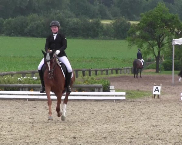 Ponyturnier Billerbeck 2016