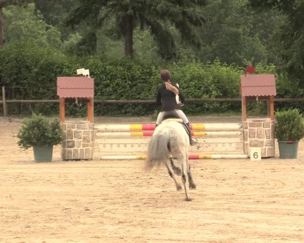 Reitturnier Erkrath - Uhlenhof 2016