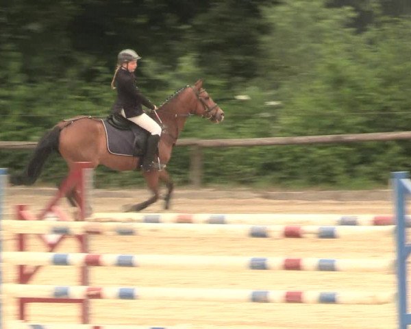 Reitturnier Erkrath - Uhlenhof 2016