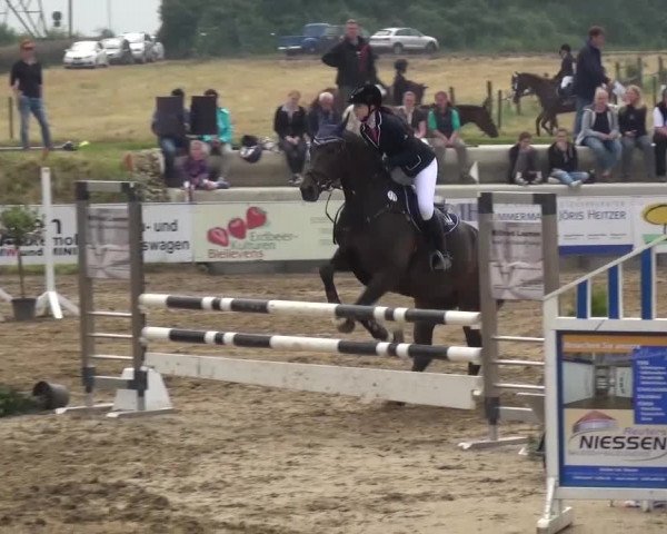 Heinsberger Dressur- und Springtage 2016