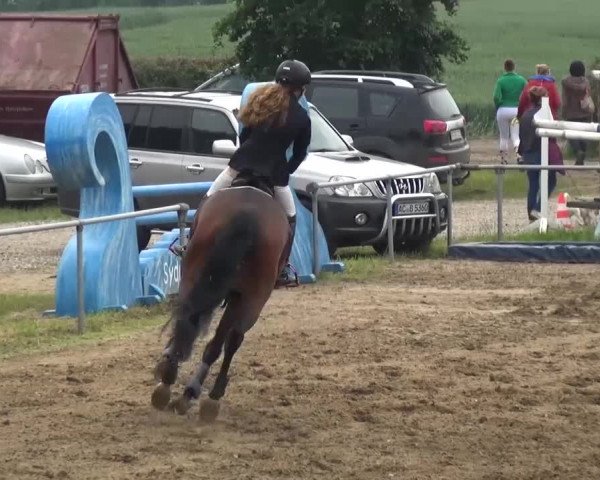 Heinsberger Dressur- und Springtage 2016