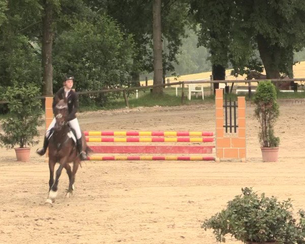Reitturnier Erkrath - Uhlenhof 2016