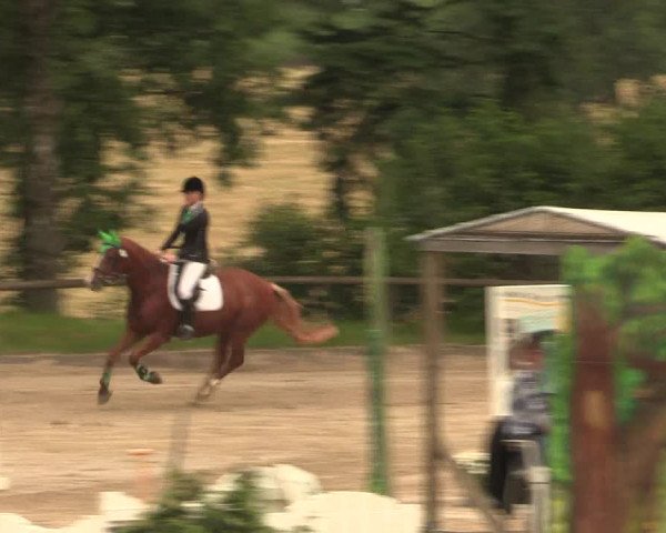Reitturnier Erkrath - Uhlenhof 2016