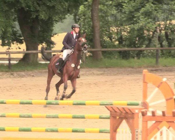 Reitturnier Erkrath - Uhlenhof 2016