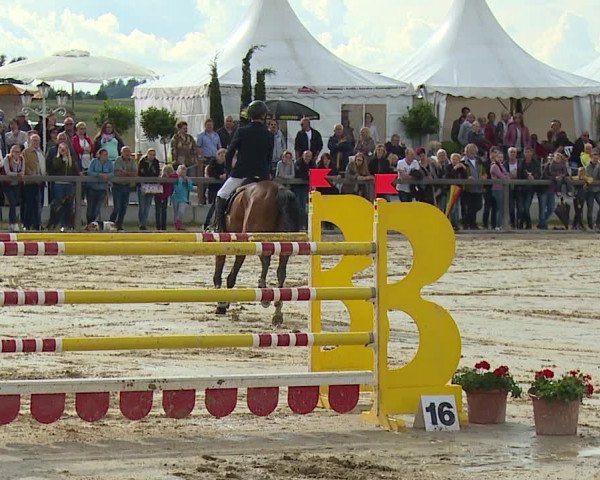 Reitturnier Detter 2016