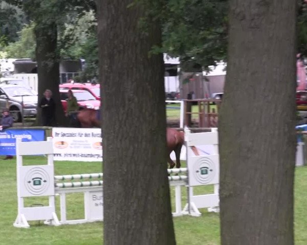 Ponyturnier Billerbeck 2016