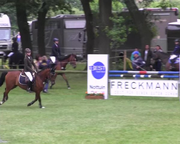 Ponyturnier Billerbeck 2016