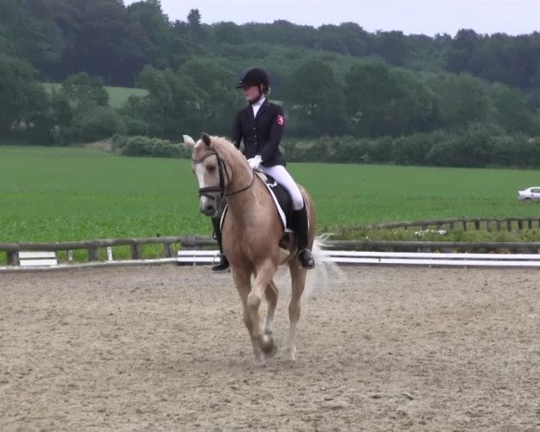 Ponyturnier Billerbeck 2016