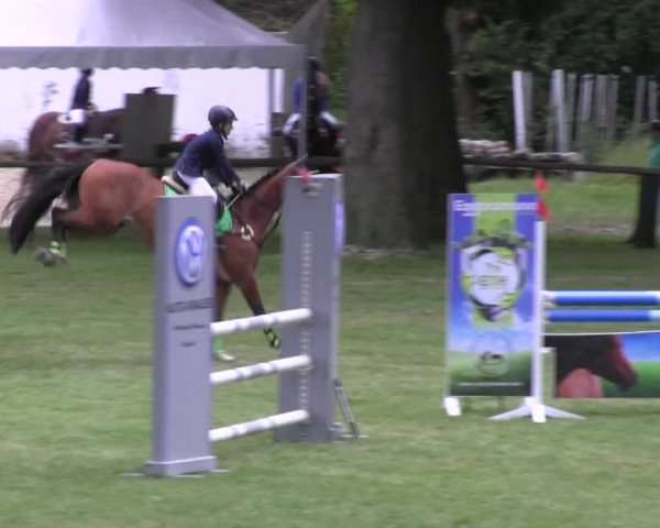 Ponyturnier Billerbeck 2016
