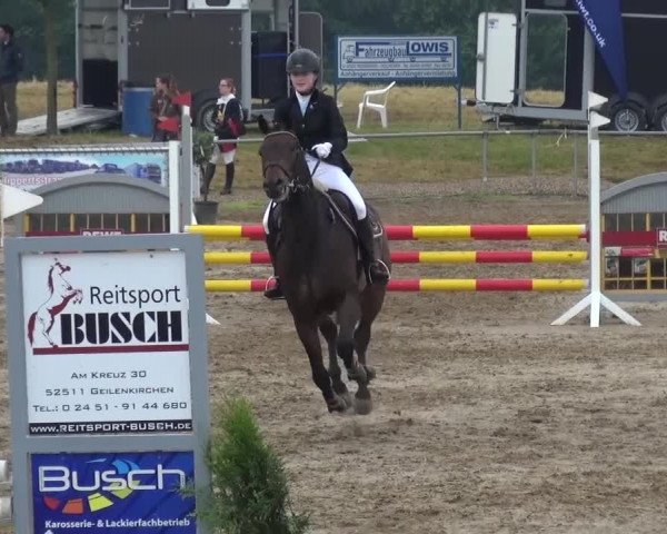 Heinsberger Dressur- und Springtage 2016