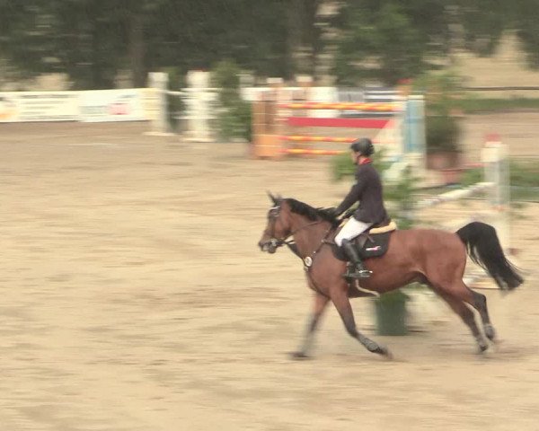Reitturnier Erkrath - Uhlenhof 2016