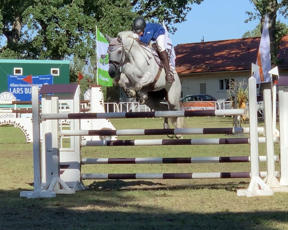 broodmare Mona Lisa (German Sport Horse, 2009, from Monte Bellini)