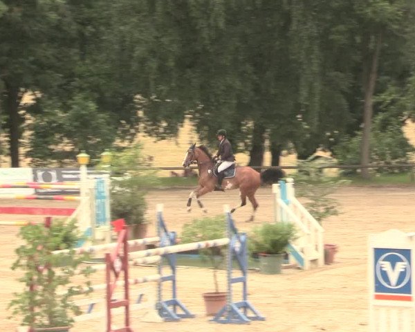 Reitturnier Erkrath - Uhlenhof 2016