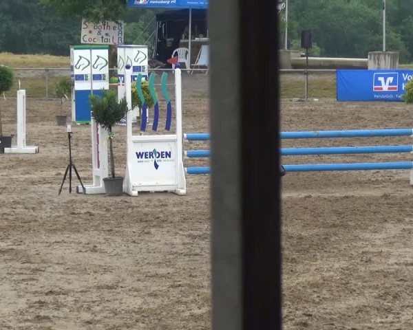 Heinsberger Dressur- und Springtage 2016