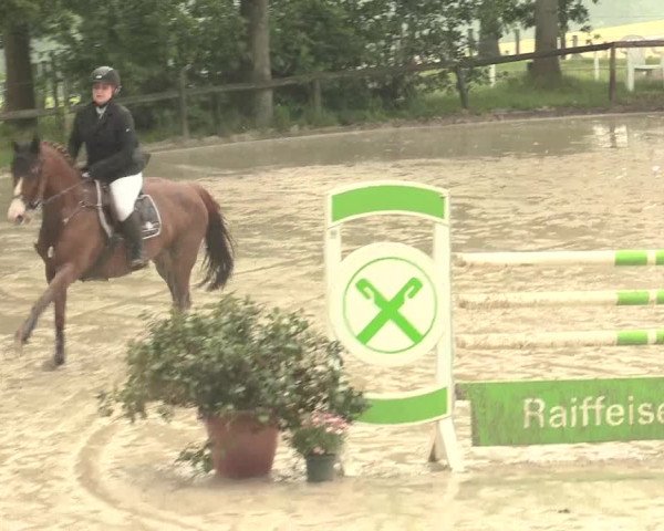 Reitturnier Erkrath - Uhlenhof 2016