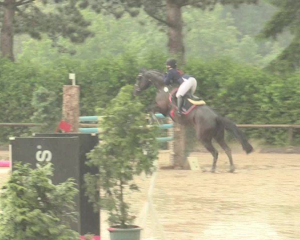 Reitturnier Erkrath - Uhlenhof 2016