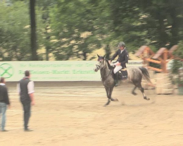 Reitturnier Erkrath - Uhlenhof 2016