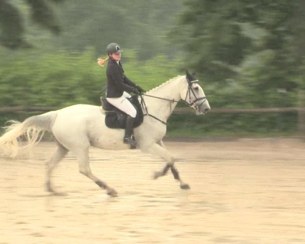 Reitturnier Erkrath - Uhlenhof 2016