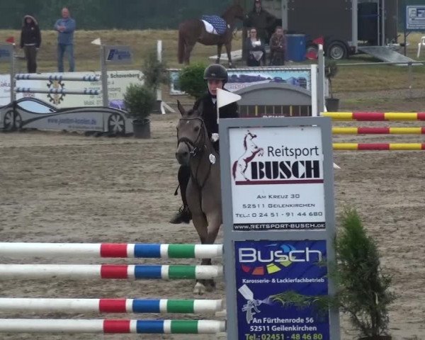 Heinsberger Dressur- und Springtage 2016