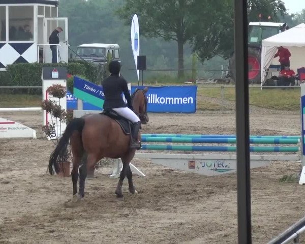 Heinsberger Dressur- und Springtage 2016