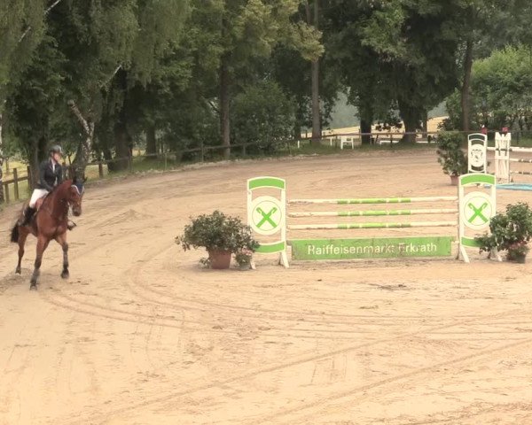 Reitturnier Erkrath - Uhlenhof 2016