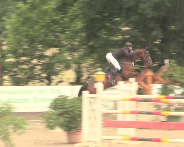 Reitturnier Erkrath - Uhlenhof 2016