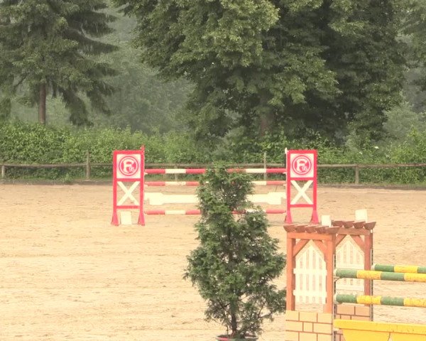 Reitturnier Erkrath - Uhlenhof 2016