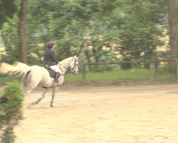Reitturnier Erkrath - Uhlenhof 2016