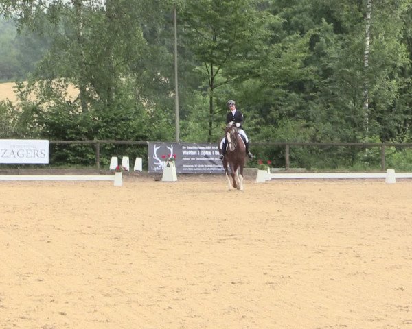 Reitturnier Erkrath - Uhlenhof 2016