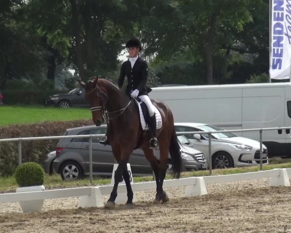 Heinsberger Dressur- und Springtage 2016