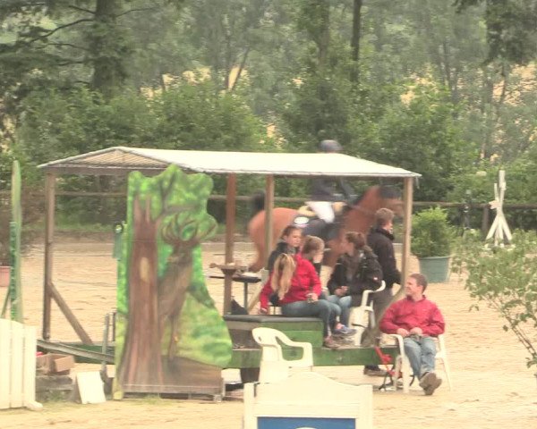 Reitturnier Erkrath - Uhlenhof 2016
