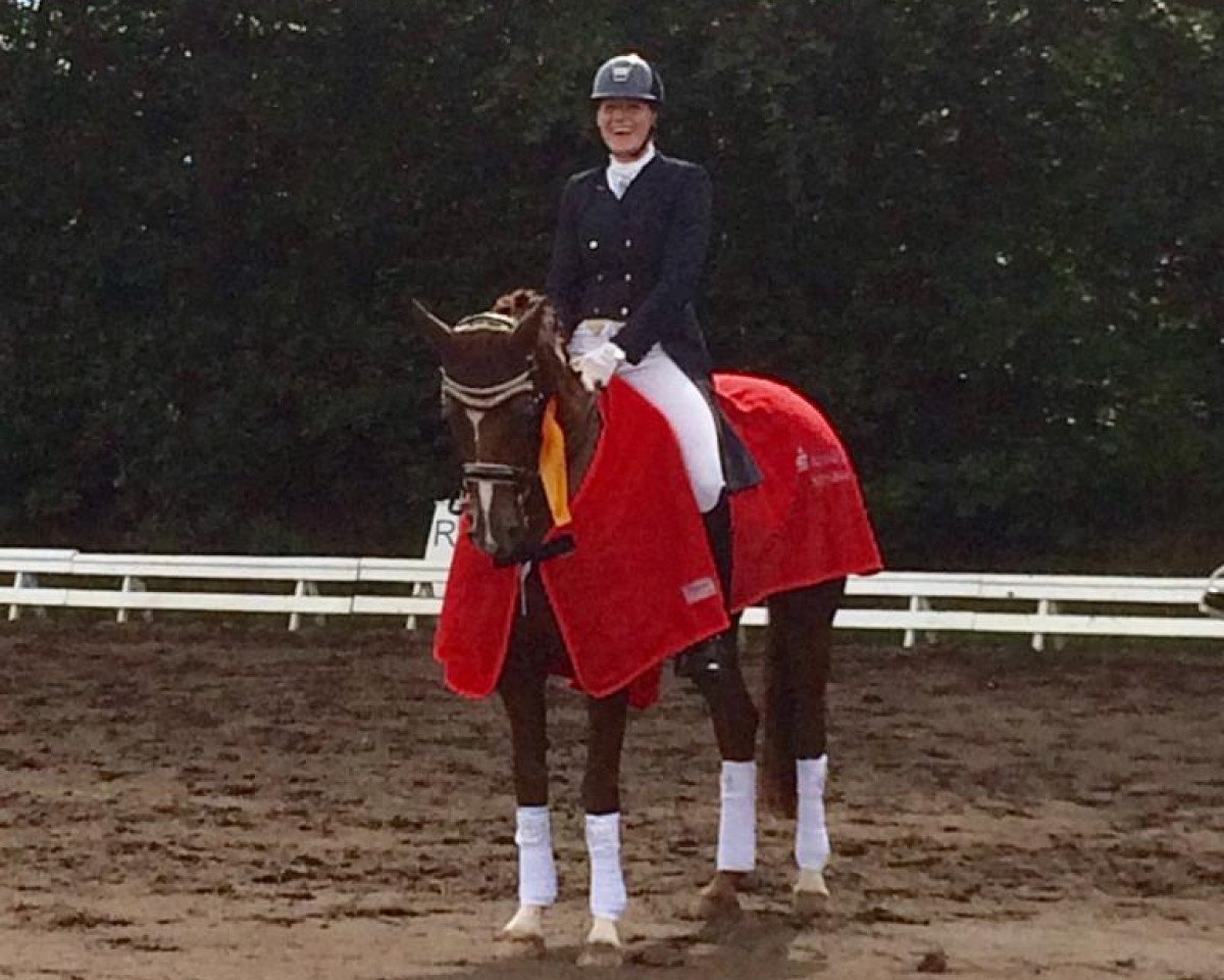dressage horse Que Sera Sera 2 (Hanoverian, 2008, from Quaterback)