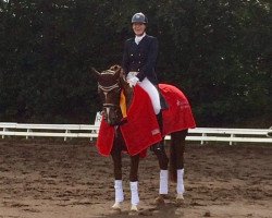 dressage horse Que Sera Sera 2 (Hanoverian, 2008, from Quaterback)