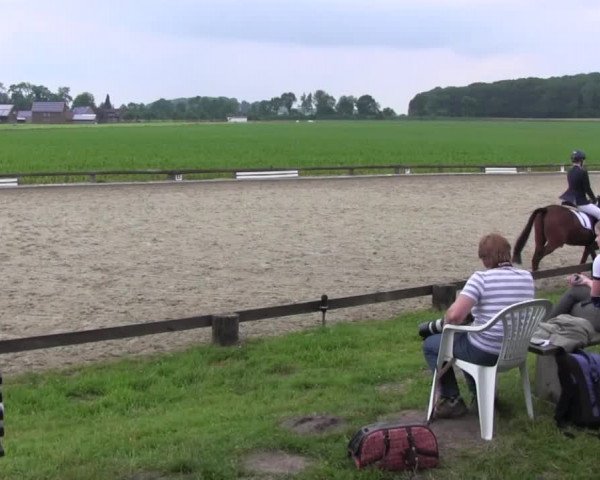 Ponyturnier Billerbeck 2016