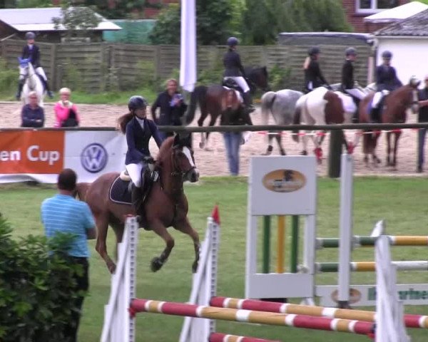 Ponyturnier Billerbeck 2016