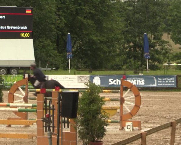 Reitturnier Erkrath - Uhlenhof 2016
