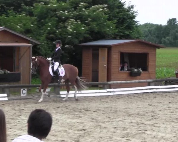 Ponyturnier Billerbeck 2016