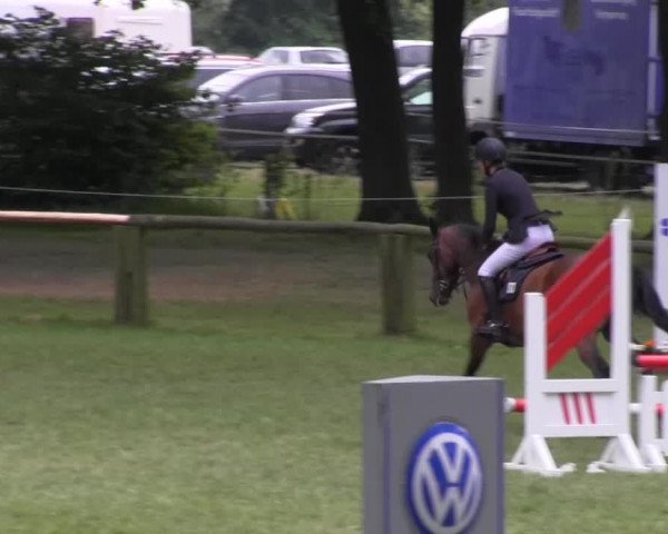 Ponyturnier Billerbeck 2016