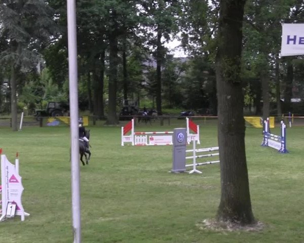 Ponyturnier Billerbeck 2016