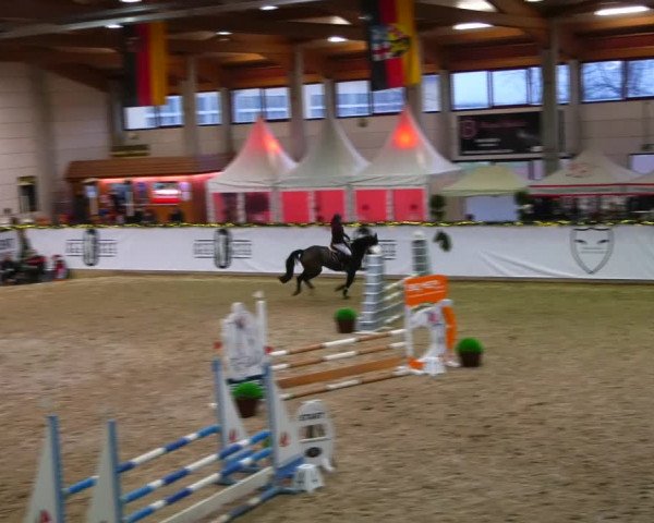 Christmas Jumping Trophy Prussendorf 2021