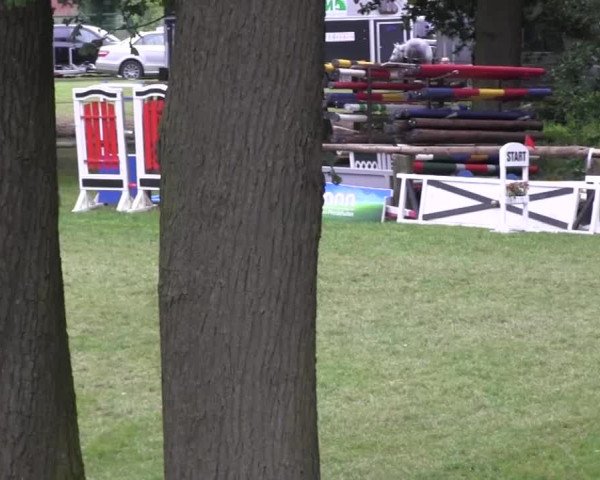 Ponyturnier Billerbeck 2016