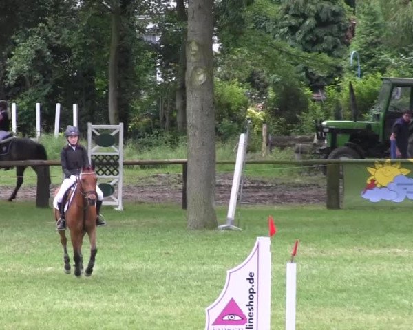 Ponyturnier Billerbeck 2016