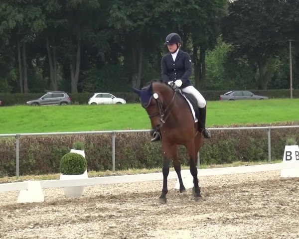 Heinsberger Dressur- und Springtage 2016