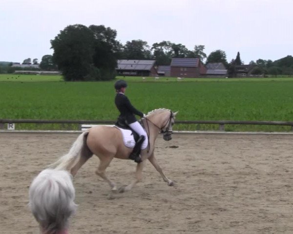 Ponyturnier Billerbeck 2016