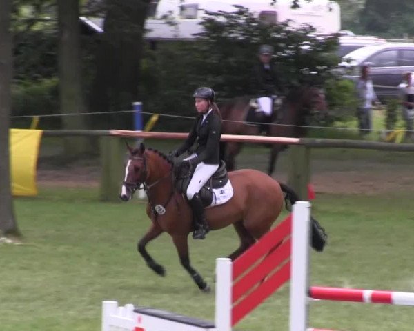 Ponyturnier Billerbeck 2016