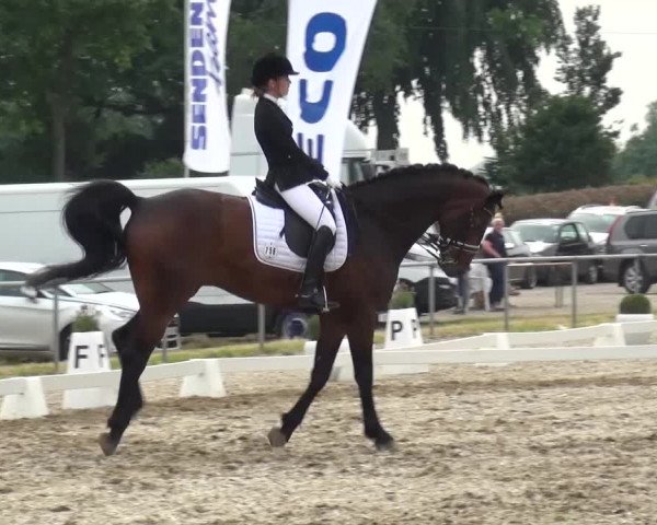 Heinsberger Dressur- und Springtage 2016