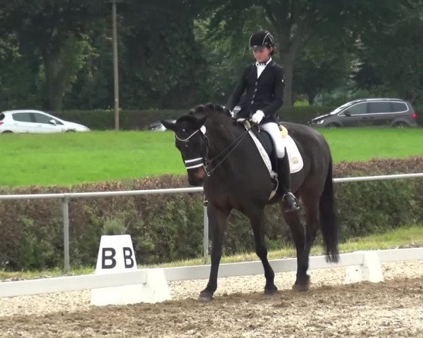 Heinsberger Dressur- und Springtage 2016