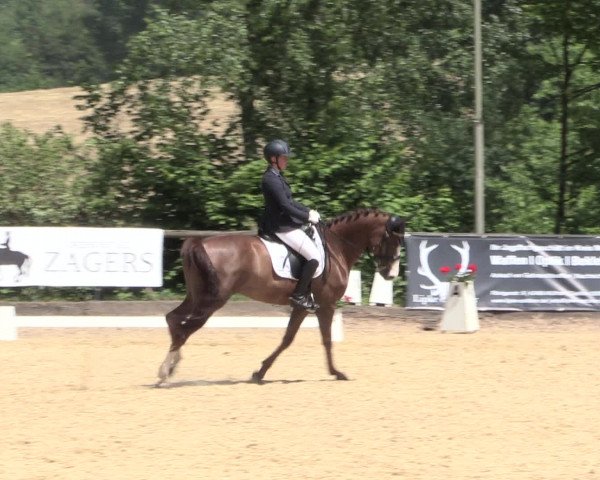 Reitturnier Erkrath - Uhlenhof 2016