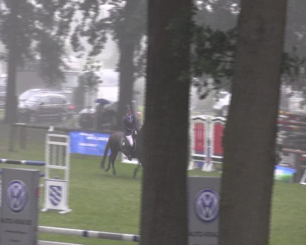 Ponyturnier Billerbeck 2016