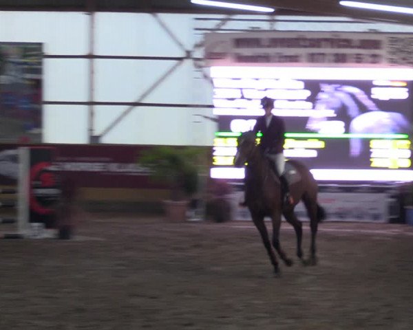 Große Jumping-Trophy Pausin 2021
